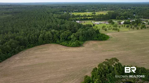 0 Pine Rd, Stapleton, AL 36578 photo 11