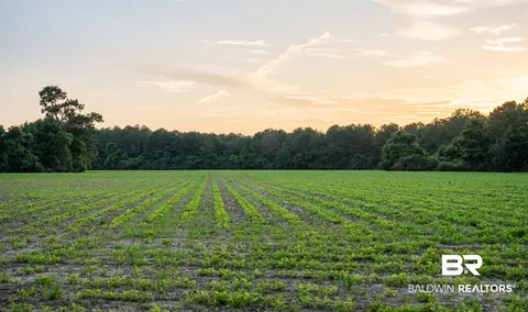 0 Pine Rd, Stapleton, AL 36578 photo 45