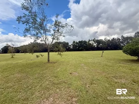 Exterior - 14000 Boros Rd, Elberta, AL 36530 photo 5 of 7