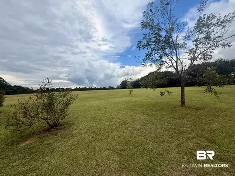 Exterior - 14000 Boros Rd, Elberta, AL 36530 photo 4 of 7