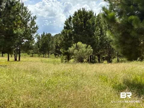 0 Boros Rd #PARCEL C, Elberta, AL photo 4