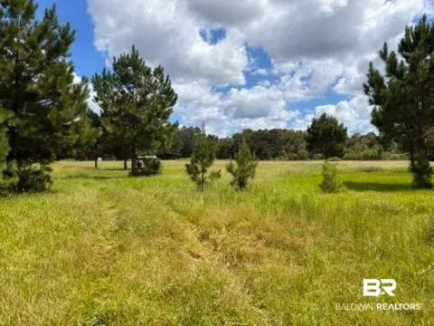 0 Boros Rd #PARCEL C, Elberta, AL photo 3