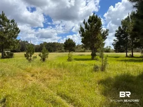 0 Boros Rd #PARCEL C, Elberta, AL photo 2