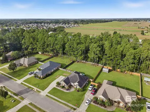 View/Area - 24909 Steadfast Ct, Daphne, AL 36526 photo 4 of 5