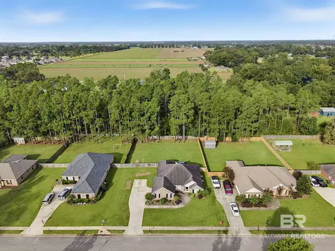 View/Area - 24909 Steadfast Ct, Daphne, AL 36526 photo 3 of 5