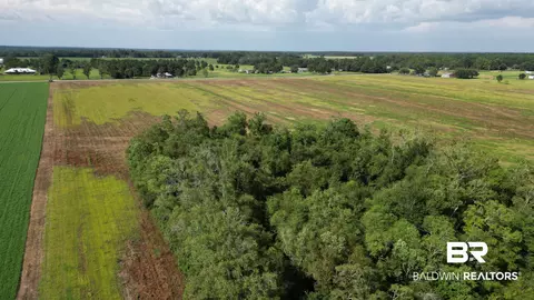 01 Gardner Rd, Elberta, AL 36530 photo 10