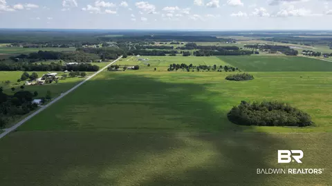 04 Gardner Rd, Elberta, AL 36530 photo 6