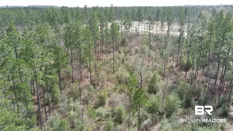 0 Paul Rd, Perdido, AL 36562 photo 16
