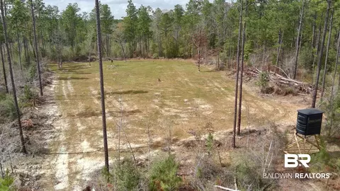 0 Paul Rd, Perdido, AL 36562 photo 11