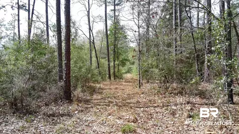 0 Paul Rd, Perdido, AL 36562 photo 15
