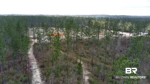 0 Paul Rd, Perdido, AL 36562 photo 14