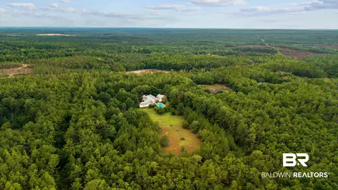 Other - 14890 Celeste Rd, Chunchula, AL 36521 photo 12 of 12