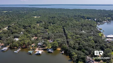 View/Area - 8785 Red Fish Point Rd, Lillian, AL 36549 photo 7 of 12