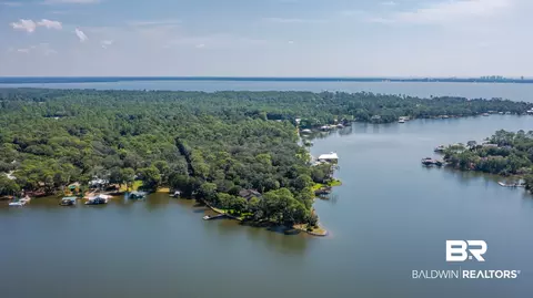 View/Area - 8785 Red Fish Point Rd, Lillian, AL 36549 photo 9 of 12