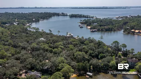 View/Area - 8785 Red Fish Point Rd, Lillian, AL 36549 photo 11 of 12