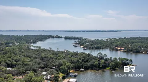 View/Area - 8785 Red Fish Point Rd, Lillian, AL 36549 photo 10 of 12