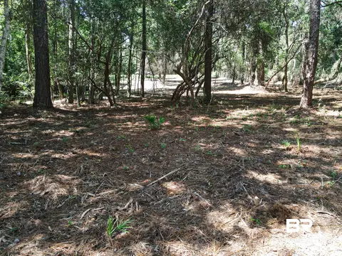 0 Neumann Dr, Elberta, AL 36530 photo 6