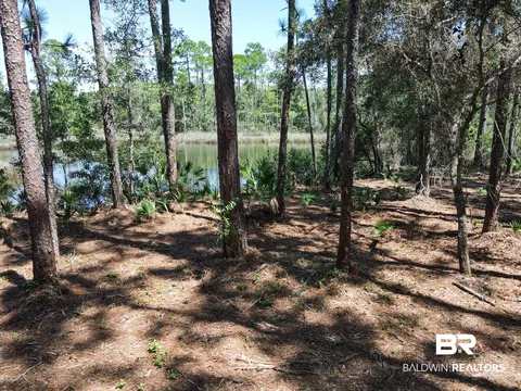 0 Neumann Dr, Elberta, AL 36530 photo 7