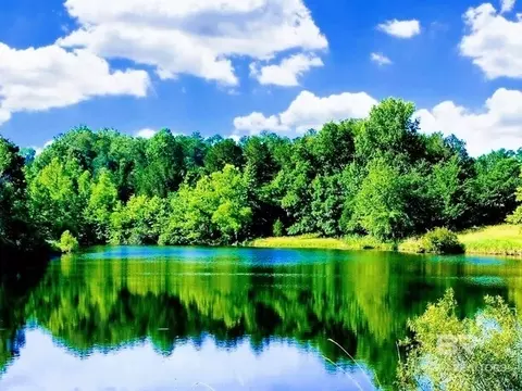 0 Highway 17, Millry, AL 36558