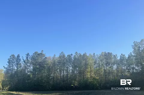 14966 Cayden Cir, Stapleton, AL 36578 photo 4