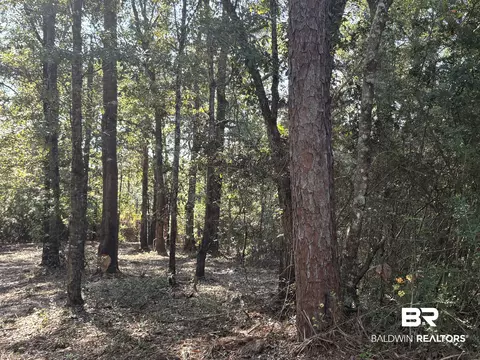 40703 County Road 39, Bay Minette, AL 36507