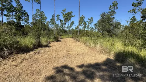 03 Archie Rd, Elberta, AL 36530 photo 22