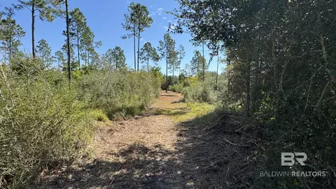 03 Archie Rd, Elberta, AL 36530 photo 18
