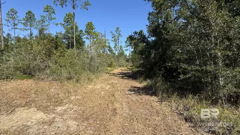 03 Archie Rd, Elberta, AL 36530 photo 17