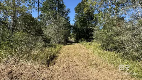 03 Archie Rd, Elberta, AL 36530 photo 19