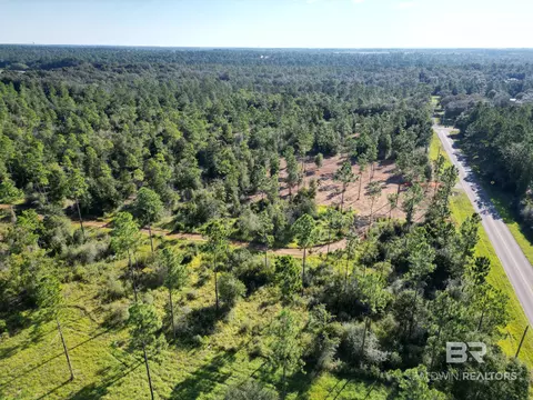 03 Archie Rd, Elberta, AL 36530 photo 10