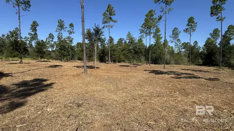 03 Archie Rd, Elberta, AL 36530 photo 15