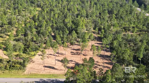 03 Archie Rd, Elberta, AL 36530 photo 13