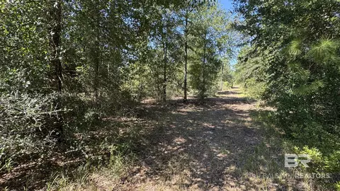 03 Archie Rd, Elberta, AL 36530 photo 20