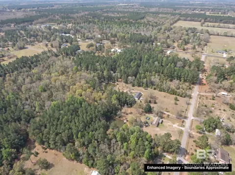 0 Ducey Dr, Axis, AL 36505 photo 5