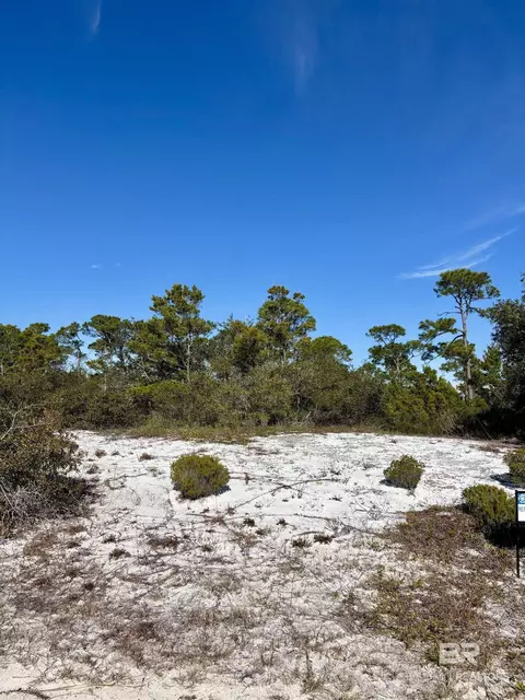 0 River Rd, Orange Beach, AL 36561