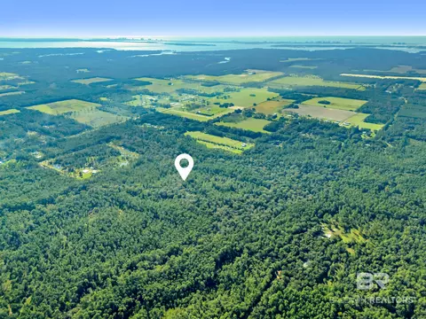 0 Genesis Way 3 Parcels, Elberta, AL 36530 photo 18