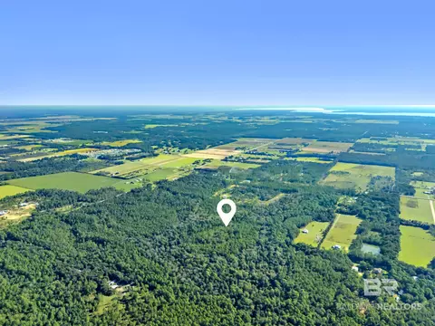 0 Genesis Way 3 Parcels, Elberta, AL 36530 photo 16