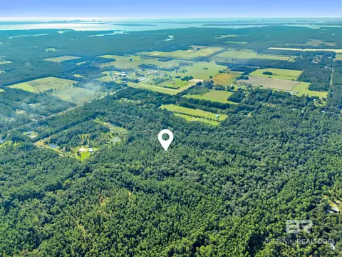 0 Genesis Way 3 Parcels, Elberta, AL 36530 photo 19