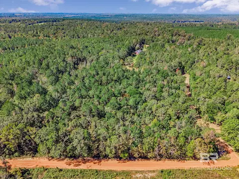Other - 1723 Wait Rd, Monroeville, AL 36460 photo 9 of 9