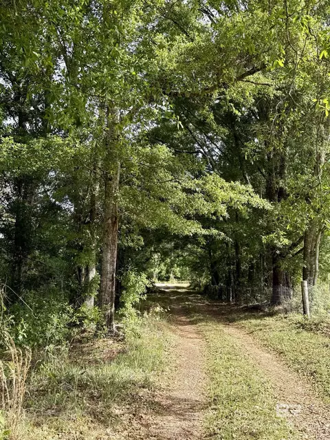 19160 County Road 68, Robertsdale, AL 36567