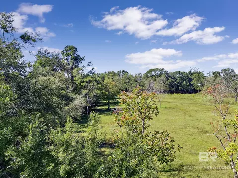 0 Mccovery Rd, Theodore, AL 36695 photo 10