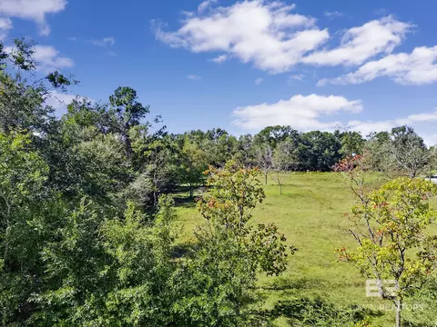 0 Mccovery Rd, Theodore, AL 36695 photo 12