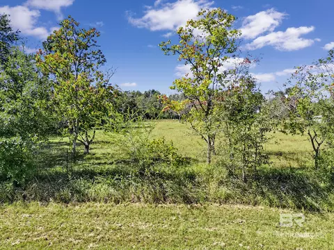0 Mccovery Rd, Theodore, AL 36695 photo 14