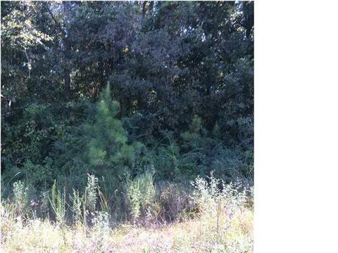 3224 Stephens Rd, Whistler, AL 36612
