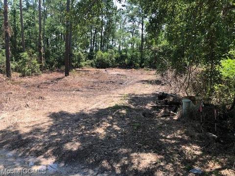3885 Washington Ave, Coden, AL 36582 photo 1