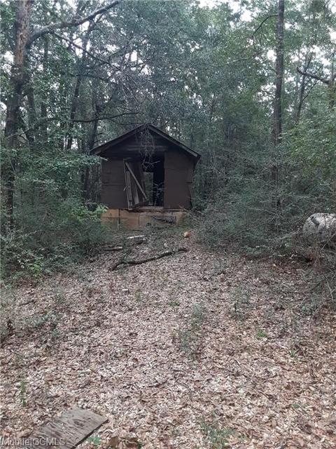 8363 Evans Rd, Chunchula, AL 36521 photo 1