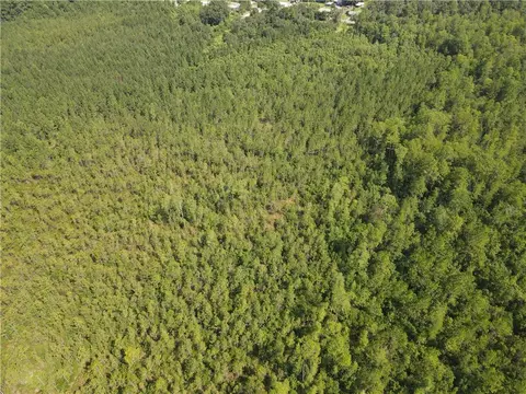 0 Mcbride Cir S, Axis, AL 36505 photo 3