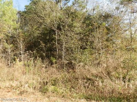 0 Carlyle Dr, Theodore, AL 36582