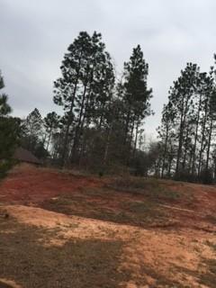 0 Cornerstone Ct, Mobile, AL 36608