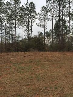 0 Cornerstone Ct, Mobile, AL 36608 photo 2